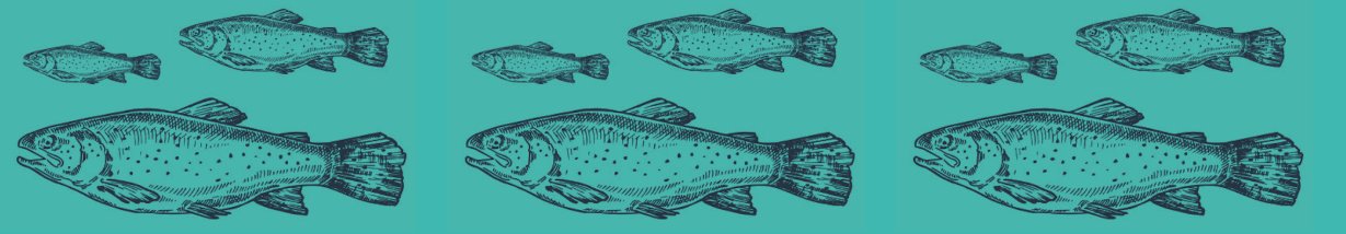 compressed_fish_image_high_quality